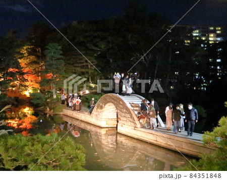広島縮景園　もみじまつりライトアップ 84351848