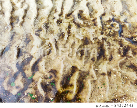 Beautiful texture of beach sand with seaweed top view Beautiful texture of beach sand with seaweed top view 84352443