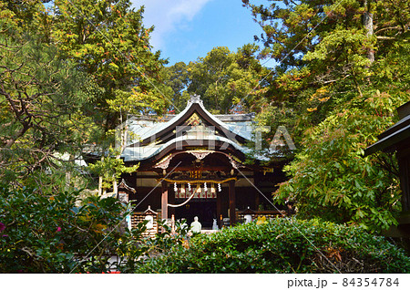 2021年秋に兎で有名な京都市岡崎神社を参拝 84354784