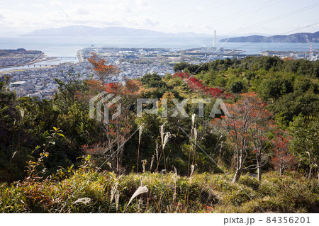 日本の兵庫県赤穂市の雄鷹台山のドウダンツツジの美しい紅葉 84356201