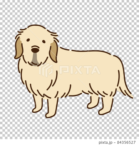 ゴールデンレトリバー シンプルでかわいい犬のイラスト ゴールデンレトリバー シンプルでかわいい犬のイラスト 84356527