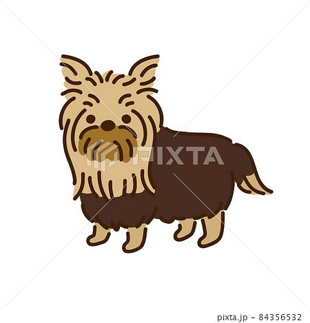 ヨークシャーテリア シンプルでかわいい犬のイラストのイラスト素材