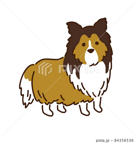 シェルティ シンプルでかわいい犬のイラストのイラスト素材