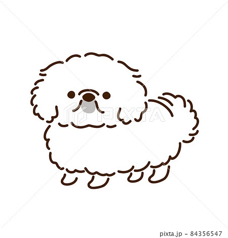 ペキニーズ書籍4冊セット 本 洋書 写真 pekingese PEKINGESE Pekingese simple and cute dog illustration - Stock