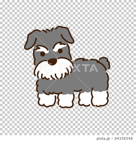 シュナウザー シンプルでかわいい犬のイラストのイラスト素材 シュナウザー シンプルでかわいい犬のイラストのイラスト素材