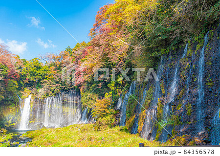 紅葉シーズンの白糸の滝と虹【静岡県】 紅葉シーズンの白糸の滝と虹【静岡県】 84356578