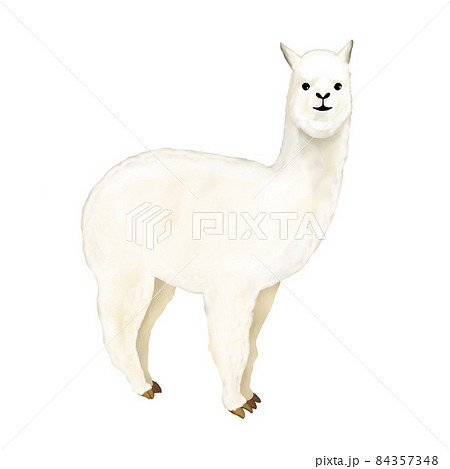 アルパカごりらぶ(*´▽`*)♪ アルパカ・サングリア | アルパカ | ワイン | 商品情報 | アサヒビール