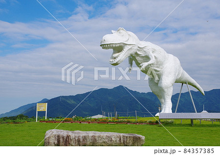 ホワイトザウルス 84357385