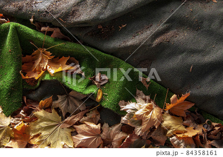 artificial green lawn with yellow fallen autumn leaves artificial green lawn with yellow fallen autumn leaves 84358161