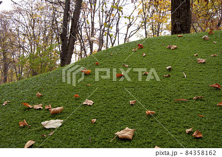 A green sheared artificial hill, on which autumn leaves fell. A green sheared artificial hill, on which autumn leaves fell. 84358162