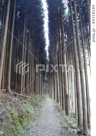 秋の京都の清滝 秋の京都の清滝 84358184