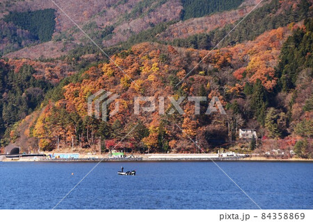 晩秋の河口湖 晩秋の河口湖 84358869