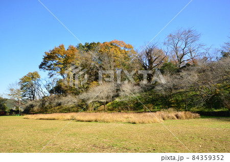 あきる野市　都立小峰公園紅葉 84359352