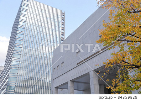 紅葉の時期の都市風景(日本銀行名古屋支店 愛知県 名古屋市) 紅葉の時期の都市風景(日本銀行名古屋支店 愛知県 名古屋市) 84359829