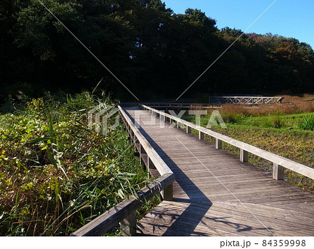 神代植物公園(水生植物園) 神代植物公園(水生植物園) 84359998