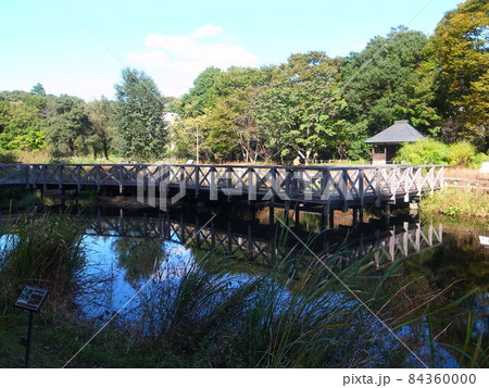 神代植物公園(水生植物園) 神代植物公園(水生植物園) 84360000