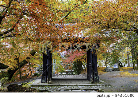現金特価】 秋月城跡】黒門と紅葉の絶景！筑前の小京都で風情