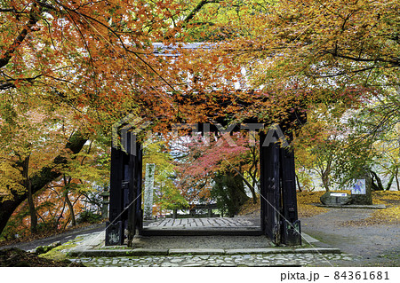 紅葉が美しい秋月城跡 福岡県朝倉市 の写真素材