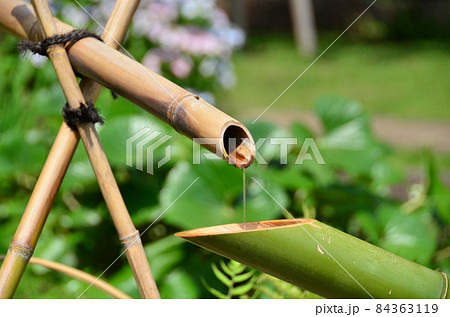 肥後細川庭園　日本庭園のなかで水が流れる竹のししおどし・鹿威し・鹿脅し・獅子脅し 84363119