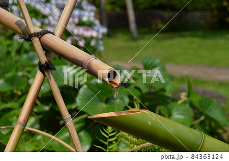 肥後細川庭園　日本庭園のなかで水が流れる竹のししおどし・鹿威し・鹿脅し・獅子脅し 84363124