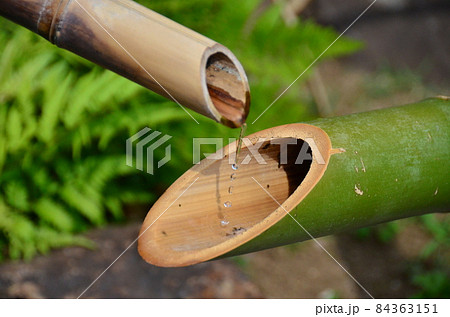 肥後細川庭園　日本庭園のなかで水が流れる竹のししおどし・鹿威し・鹿脅し・獅子脅し 84363151