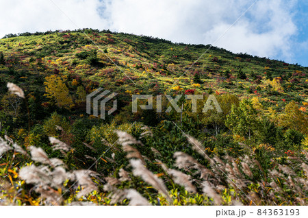 高山の紅葉 84363193