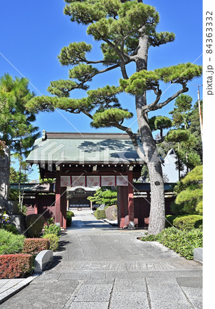 池上散歩：大坊本行寺　赤門　山門 84363332