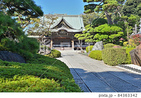 池上散歩:大坊本行寺 本堂 池上散歩:大坊本行寺 本堂 84363342