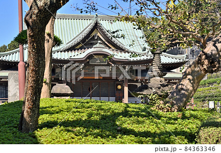 池上散歩:大坊本行寺 本堂 池上散歩:大坊本行寺 本堂 84363346