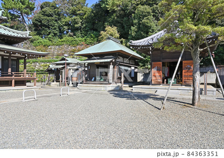 池上散歩:大坊本行寺 境内 池上散歩:大坊本行寺 境内 84363351
