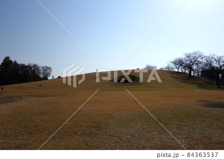 伊勢崎市民のもり公園の11月 伊勢崎市民のもり公園の11月 84363537