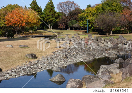 伊勢崎市民のもり公園の11月 84363542