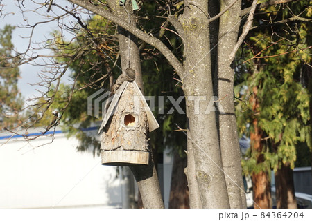手作り巣箱で真冬でも暖かく過ごせますように 84364204