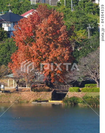 池田湖（長崎県大村市） 84364339