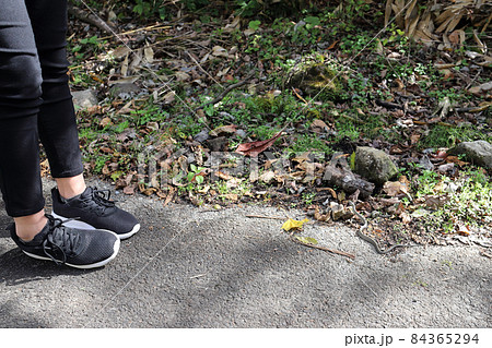 刈込池への駐車場で見つけた蛇（福井県 大野市） 84365294