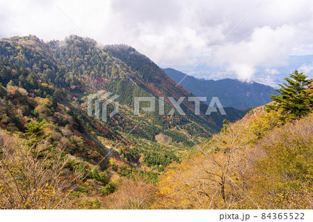 岐阜県と長野県の県境 神坂峠付近からの紅葉の山と道路 岐阜県と長野県の県境 神坂峠付近からの紅葉の山と道路 84365522
