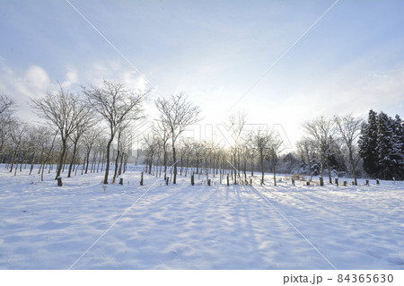 早朝の冬景色の写真素材 [84365630] - PIXTA