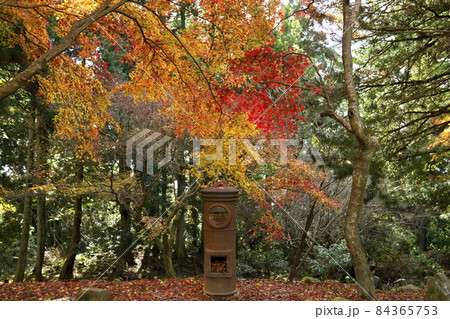 紅葉に囲まれた使われなくなった郵便ポスト 紅葉に囲まれた使われなくなった郵便ポスト 84365753