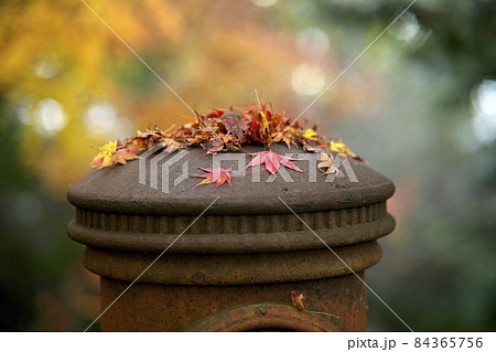 紅葉に囲まれた使われなくなった郵便ポスト 紅葉に囲まれた使われなくなった郵便ポスト 84365756