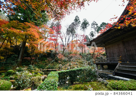 【京都】三千院の紅葉（秋） 84366041