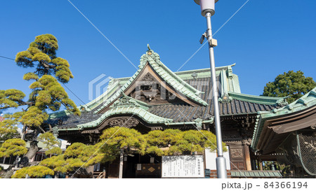 柴又帝釈天 84366194