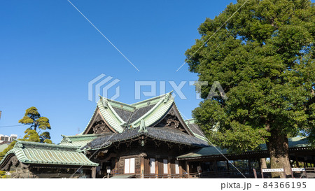 柴又帝釈天 柴又帝釈天 84366195
