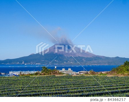 噴火した桜島 84366257
