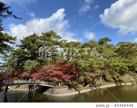 晩秋のひょうたん池と観月橋　［東公園/愛知県岡崎市］ 84366446