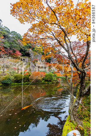 那谷寺　紅葉　琉美園 84366587