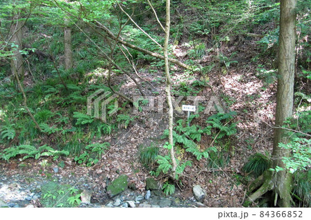 和銅採掘露天掘跡【和銅遺跡】／埼玉県秩父市 84366852