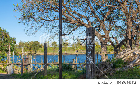 矢切の渡し・東京側 84366982