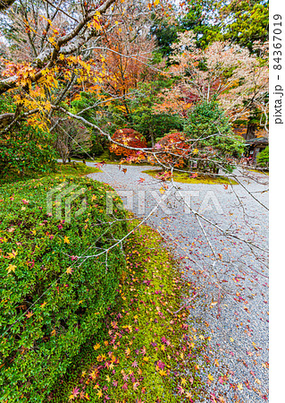 那谷寺　庭園の紅葉 84367019