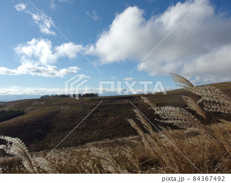 秋のビーナスライン 84367492