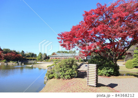 こしがや能楽堂 花田苑の紅葉 11月 埼玉県越谷市の写真素材 こしがや能楽堂 花田苑の紅葉 11月 埼玉県越谷市の写真素材